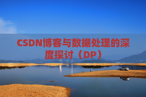 CSDN博客与数据处理的深度探讨（DP）